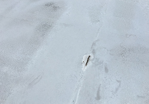 防水層の膨れ・破損 